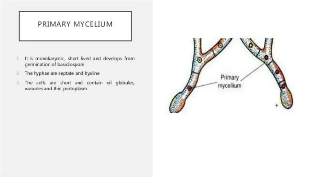 slide7