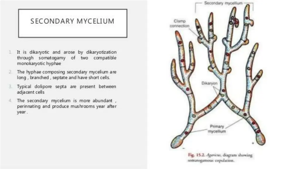 slide8