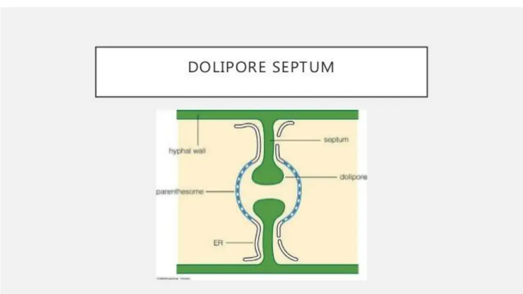 slide9