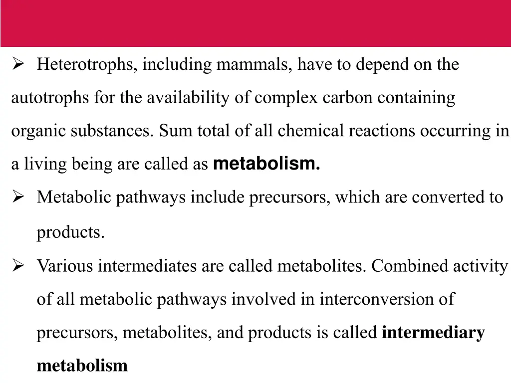 heterotrophs including mammals have to depend
