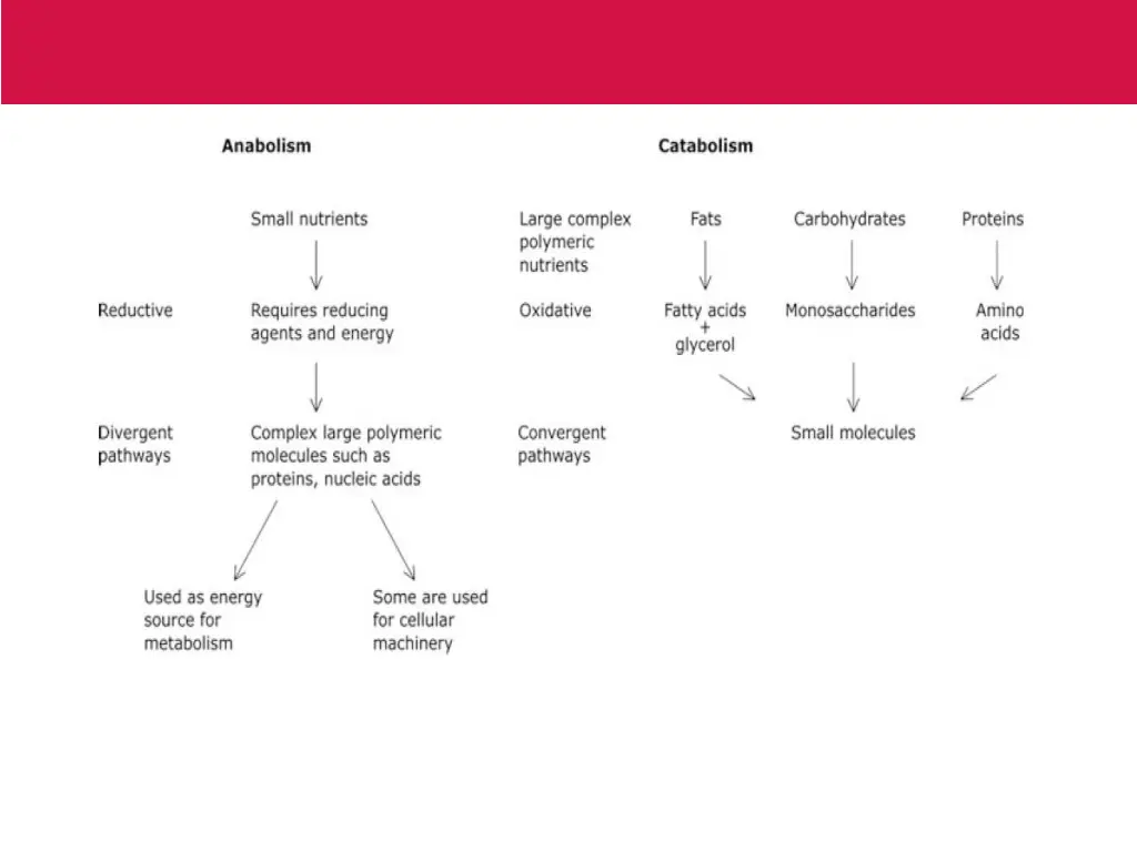 slide15