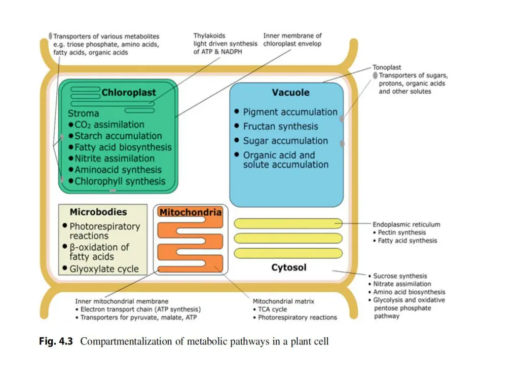 slide21