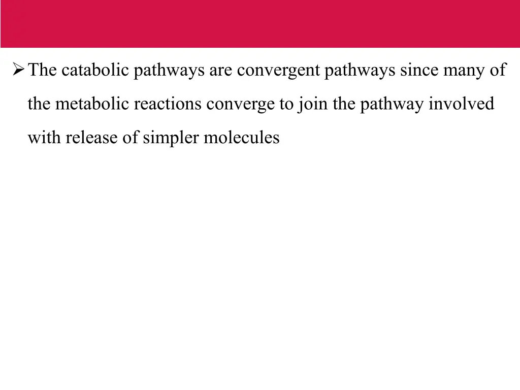 the catabolic pathways are convergent pathways