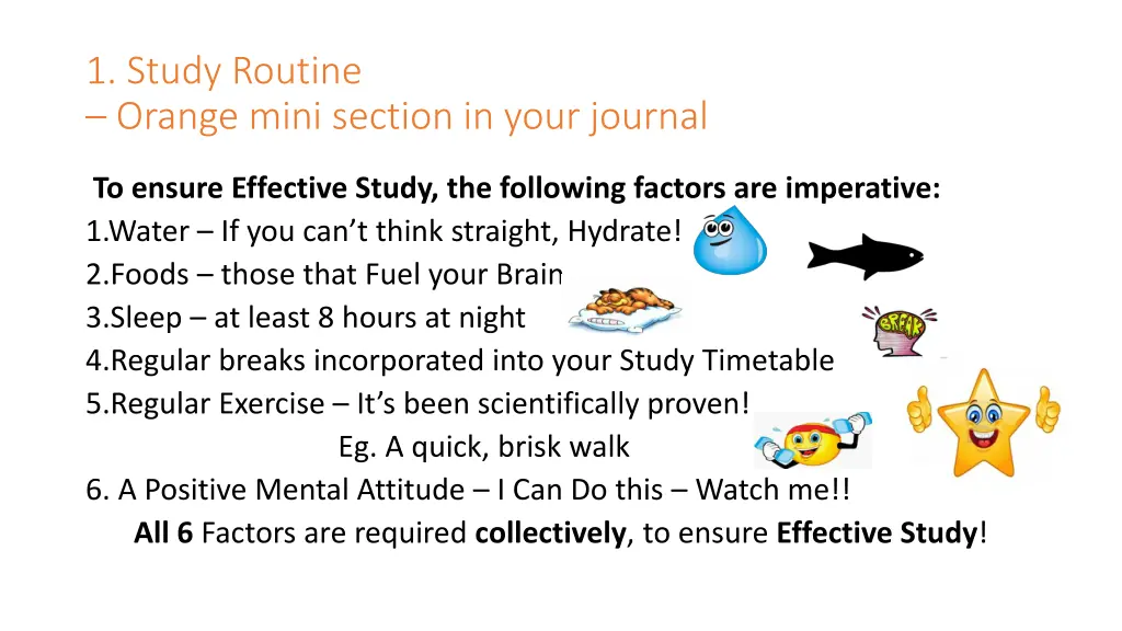 1 study routine orange mini section in your