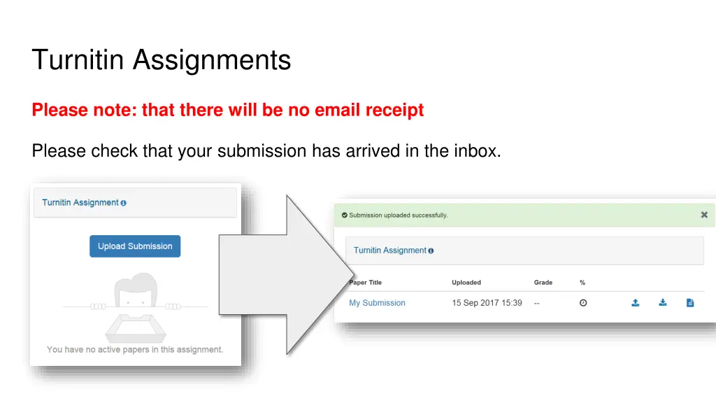 turnitin assignments 1