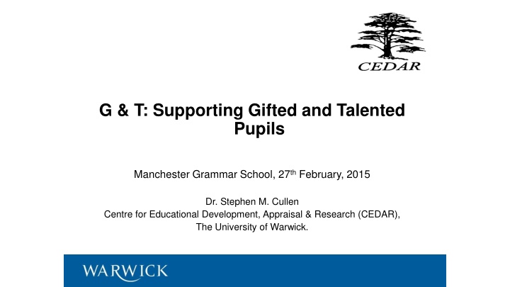 g t supporting gifted and talented pupils