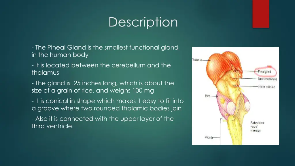 description