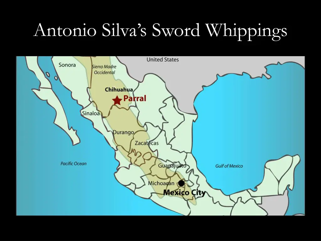 antonio silva s sword whippings