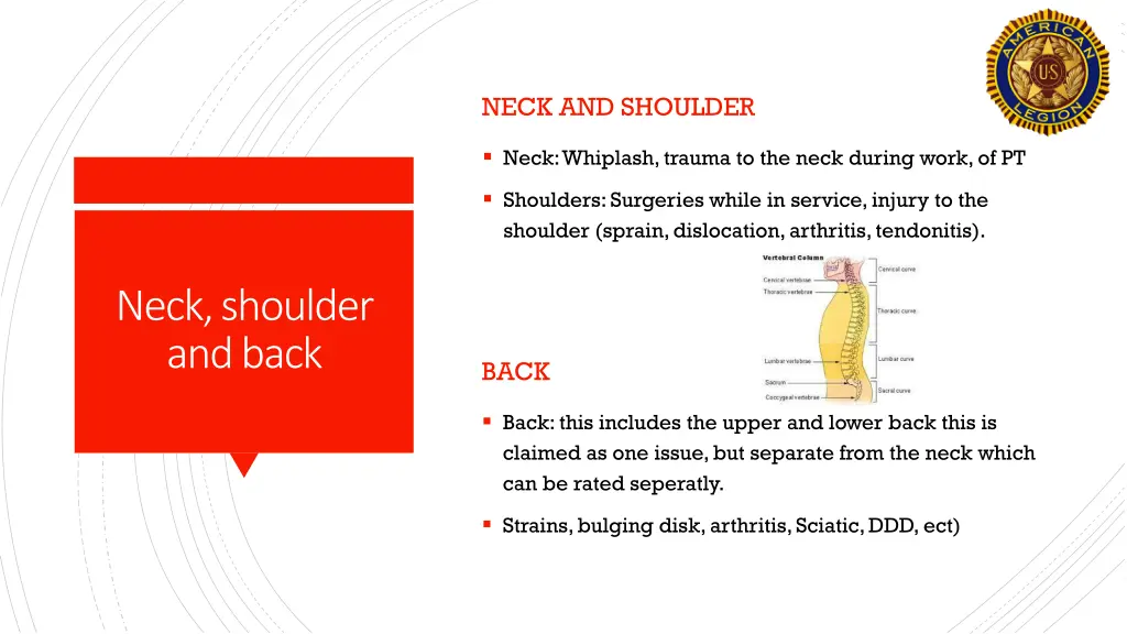 neck and shoulder