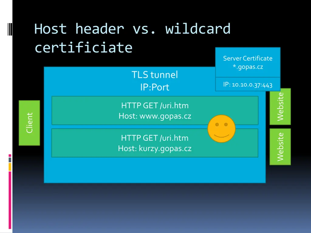 host header vs wildcard certificiate