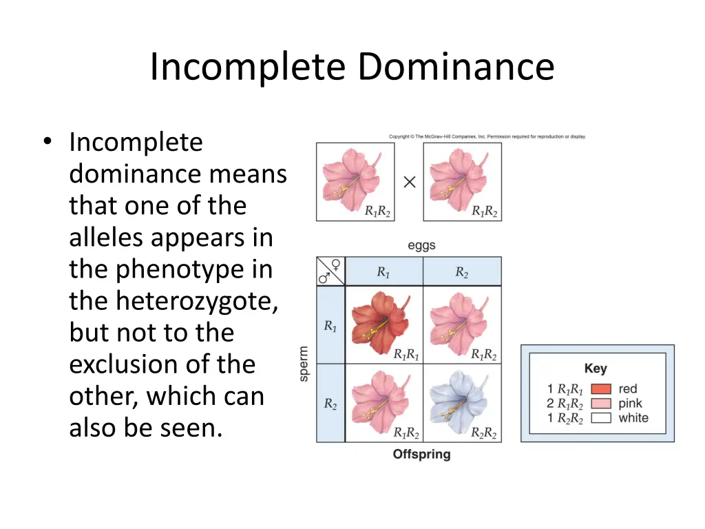 incomplete dominance