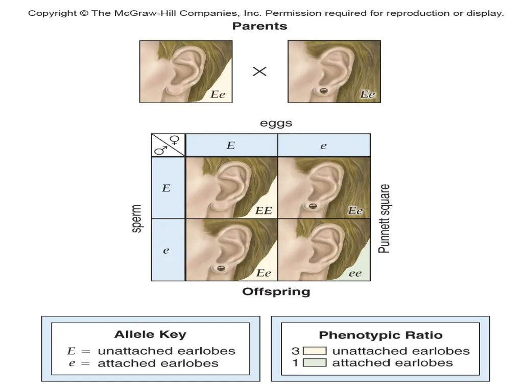 slide11