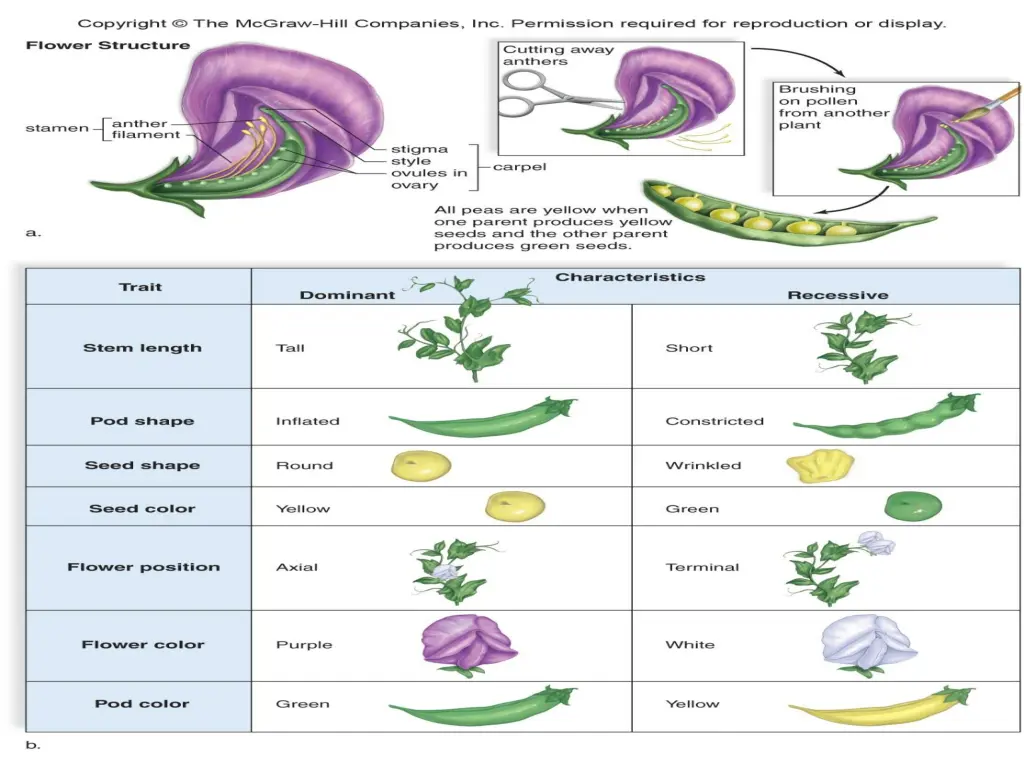 slide6