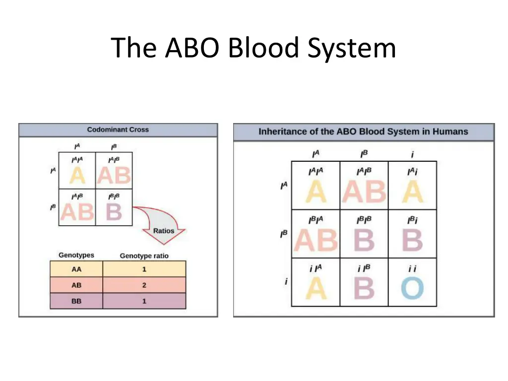 the abo blood system