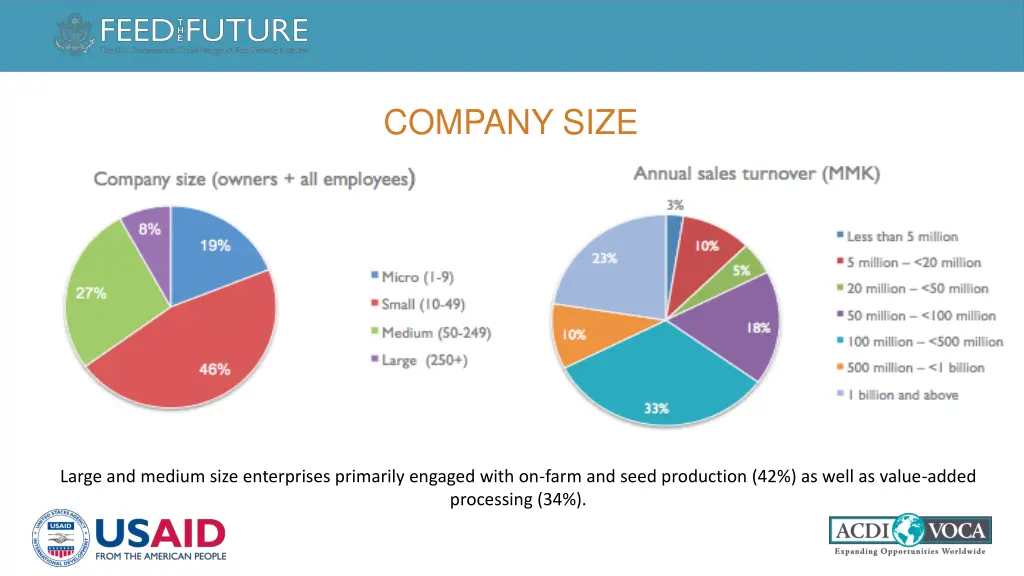 company size