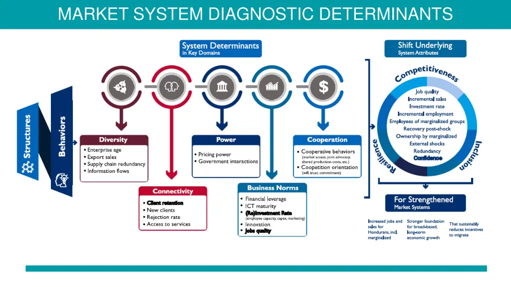 market system diagnostic determinants