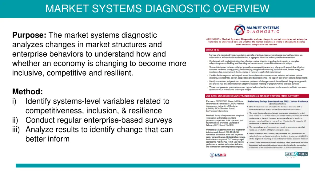 market systems diagnostic overview