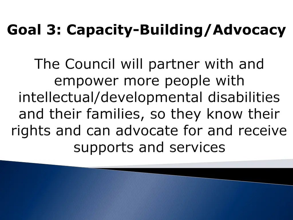 goal 3 capacity building advocacy