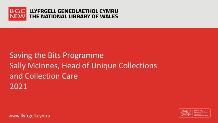 saving the bits programme sally mcinnes head