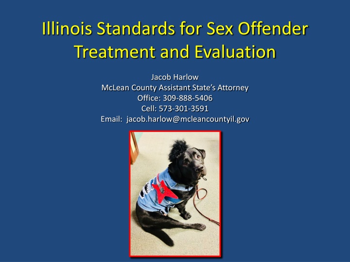 illinois standards for sex offender treatment