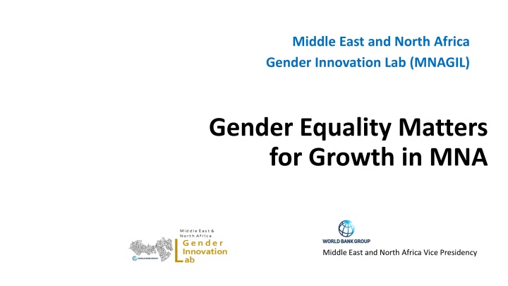 middle east and north africa gender innovation
