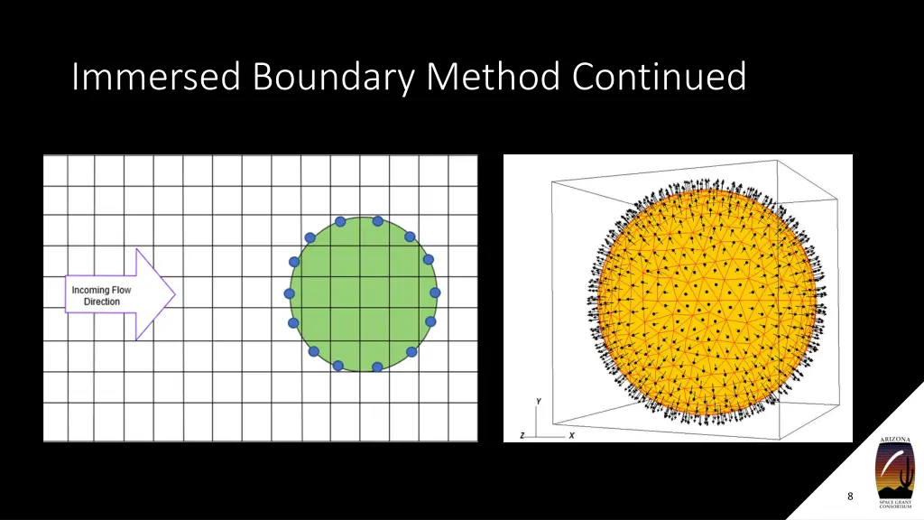 immersed boundary method continued