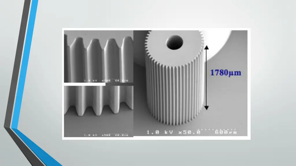 slide19