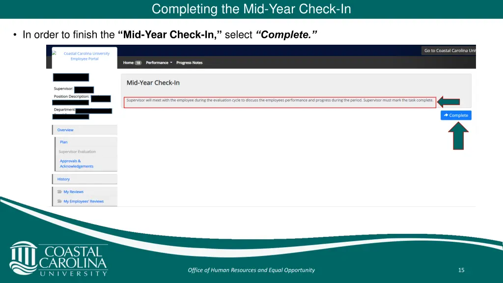 completing the mid year check in 1