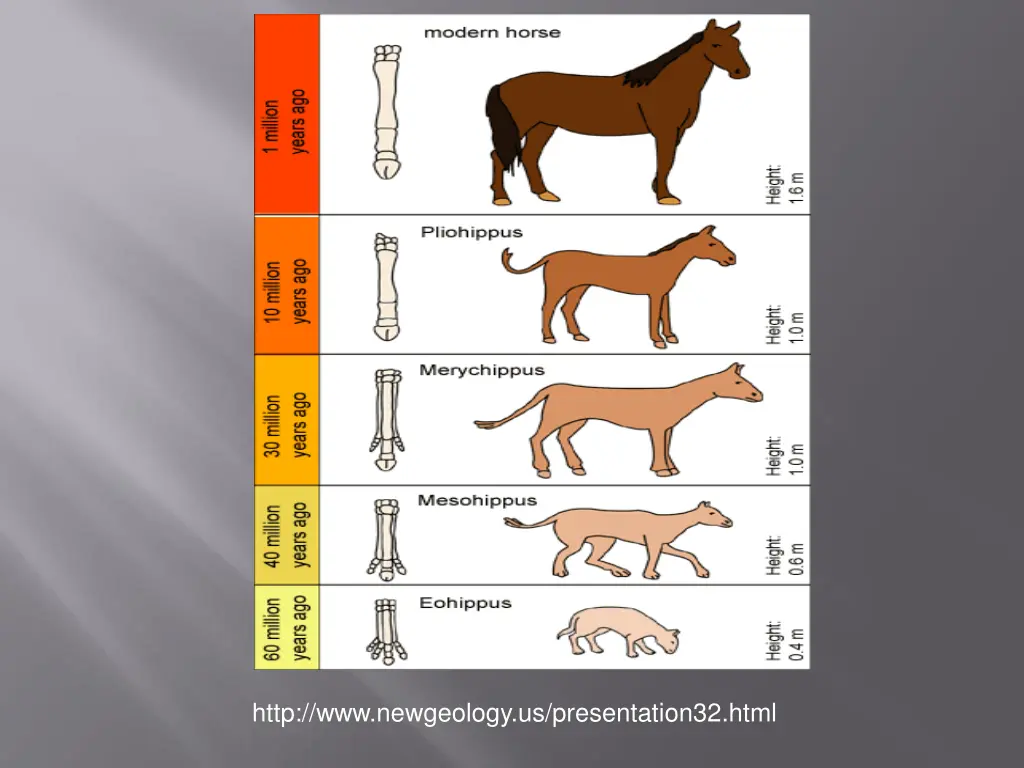 http www newgeology us presentation32 html