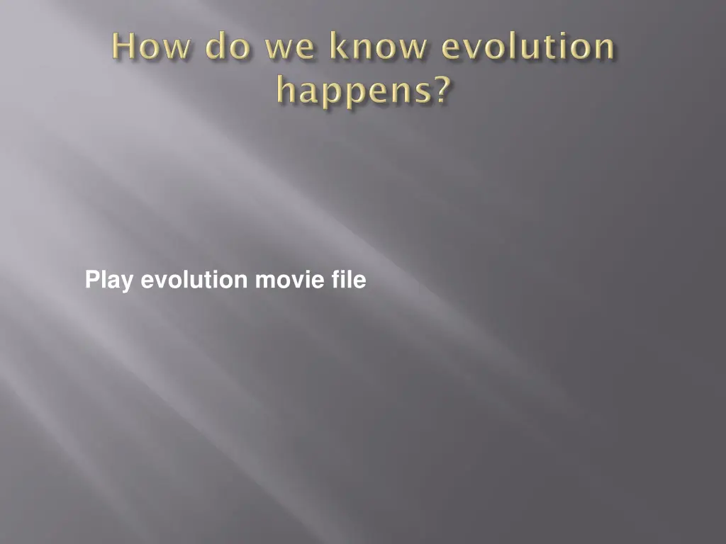 play evolution movie file