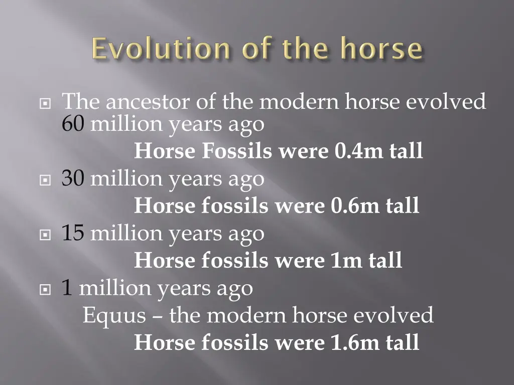 the ancestor of the modern horse evolved