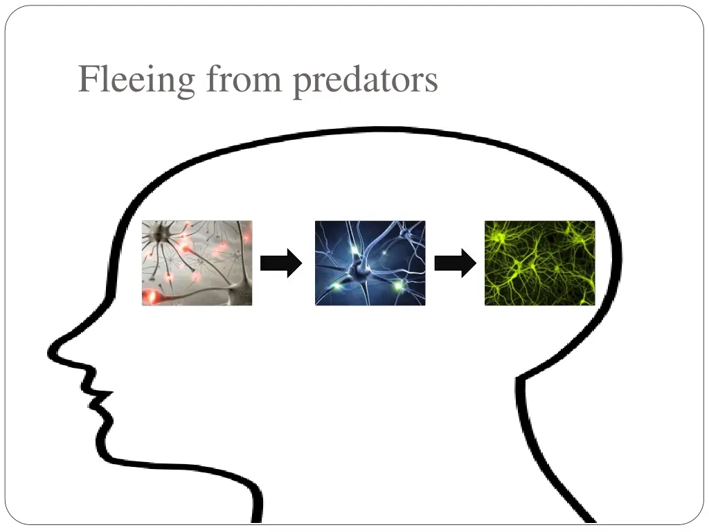 fleeing from predators