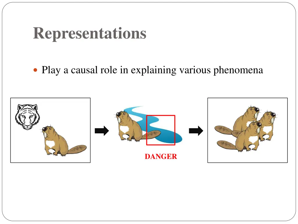 representations 1