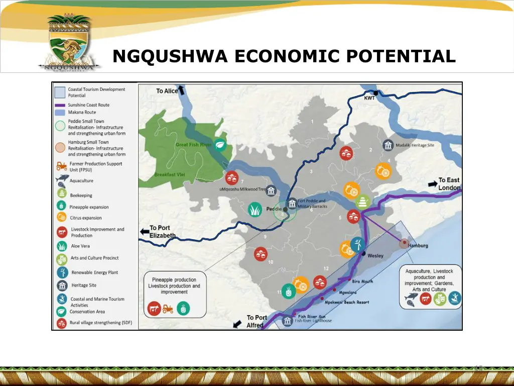 ngqushwa economic potential