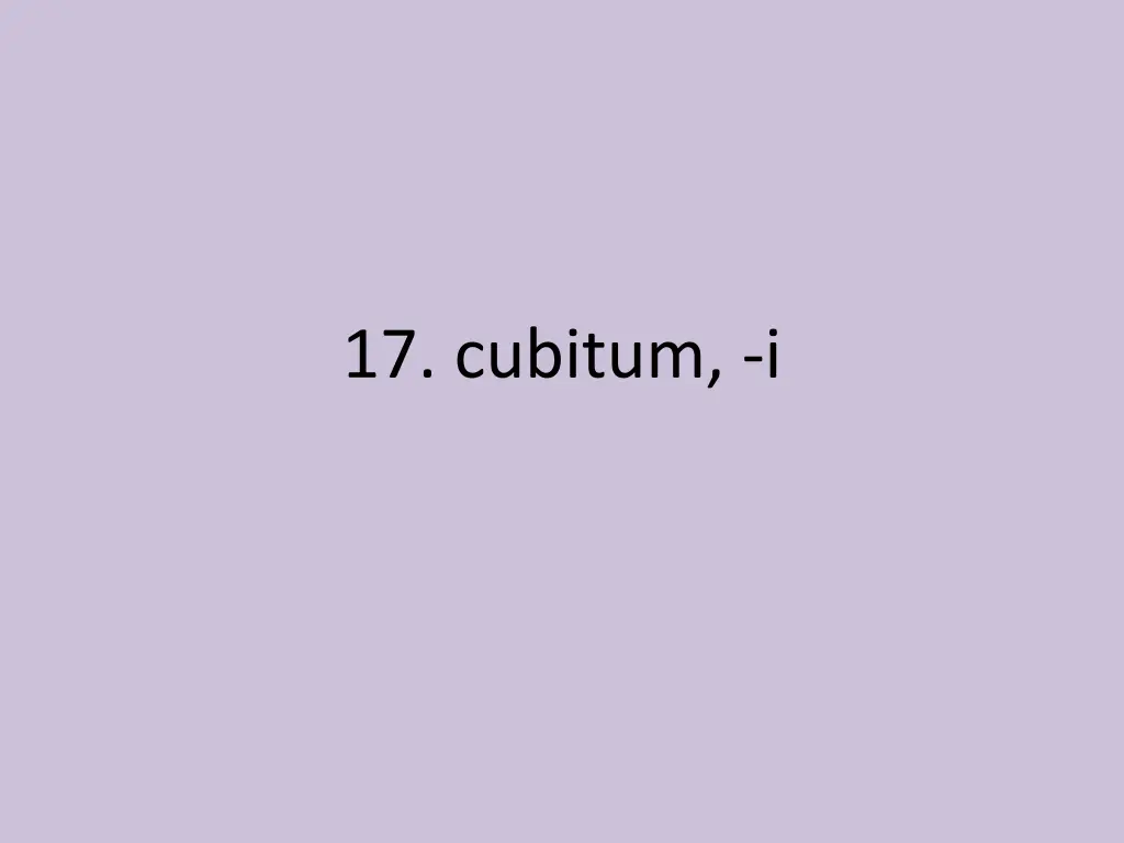 17 cubitum i