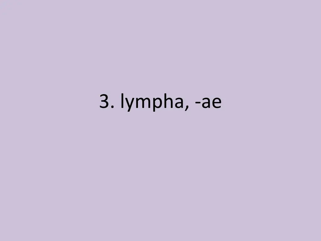 3 lympha ae