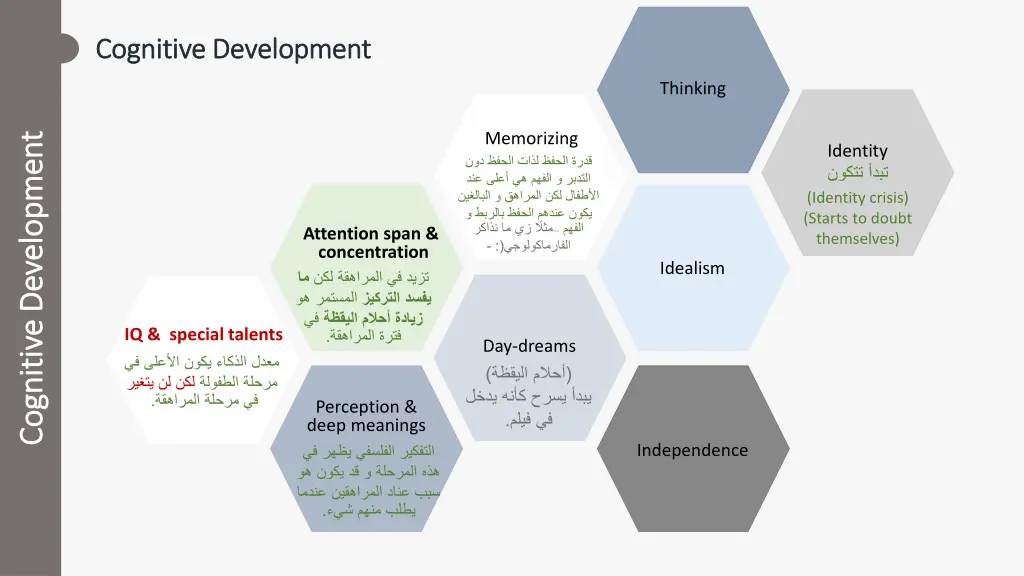 cognitive development cognitive development