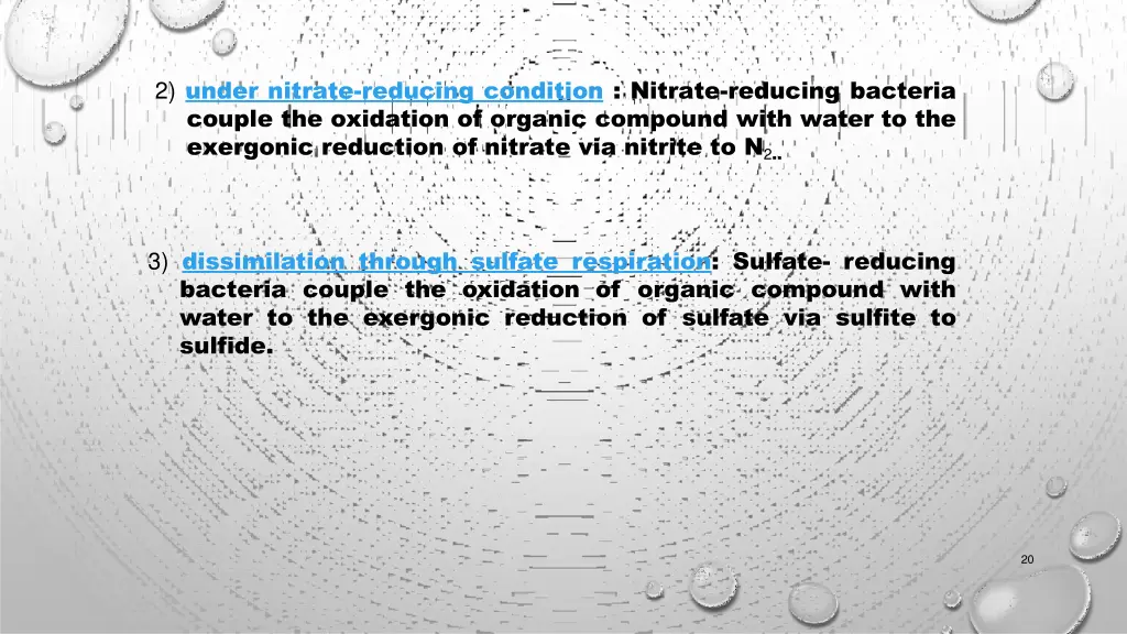 2 under nitrate reducing condition nitrate