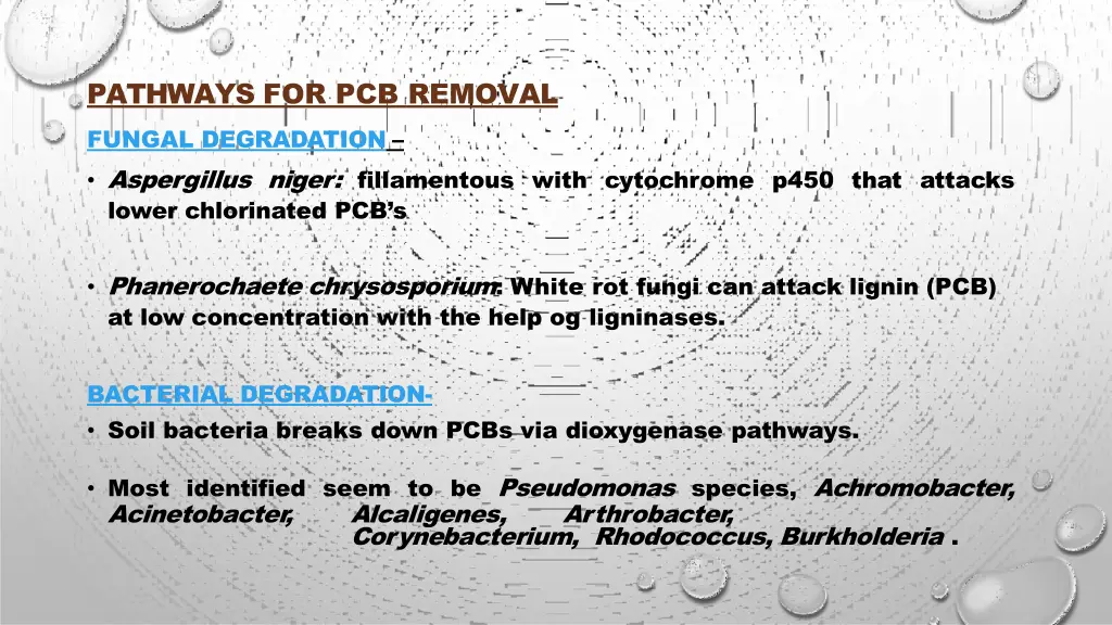 pathways for pcb removal fungal degradation