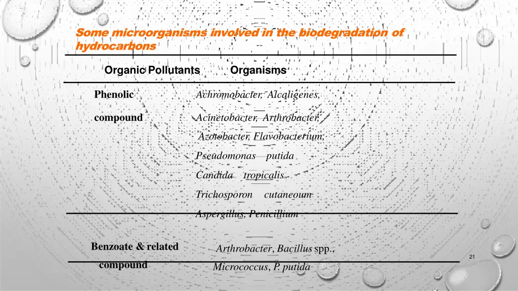 some microorganisms involved