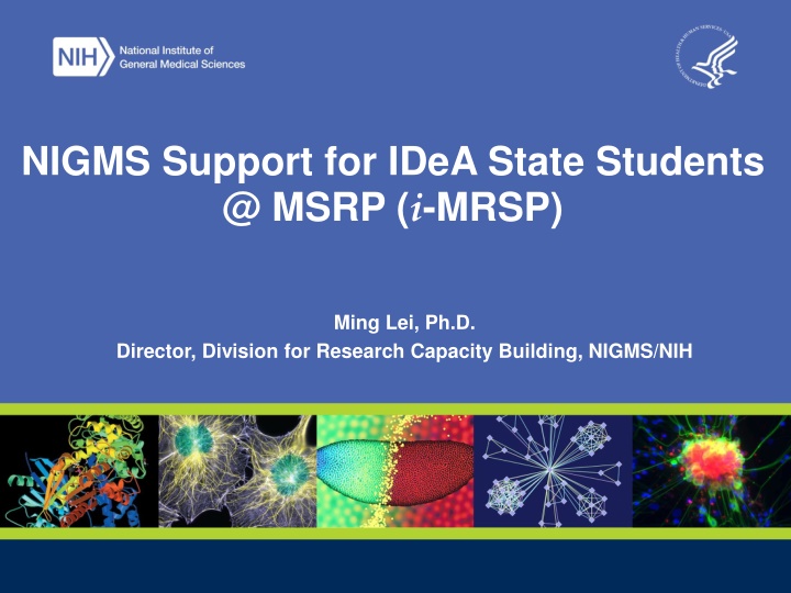 nigms support for idea state students @ msrp