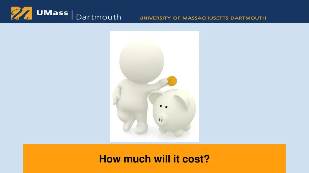 how much will it cost