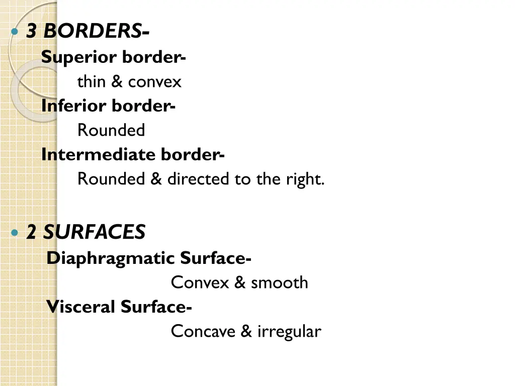 3 borders superior border thin convex inferior