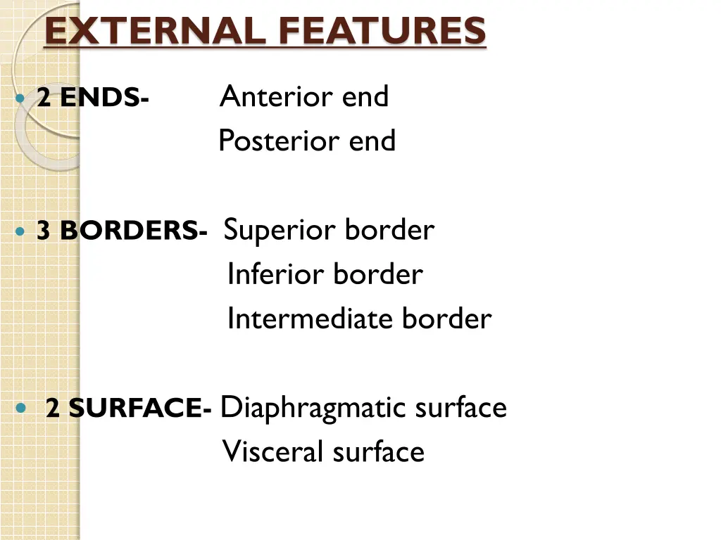 external features