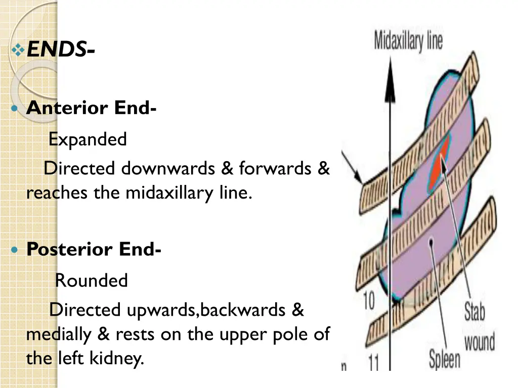 slide11