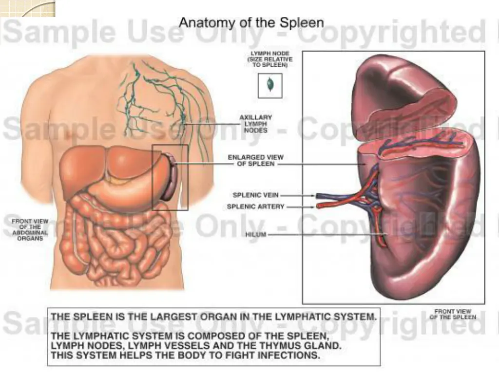 slide8