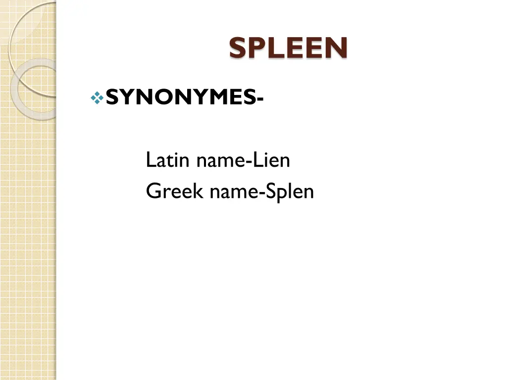 spleen