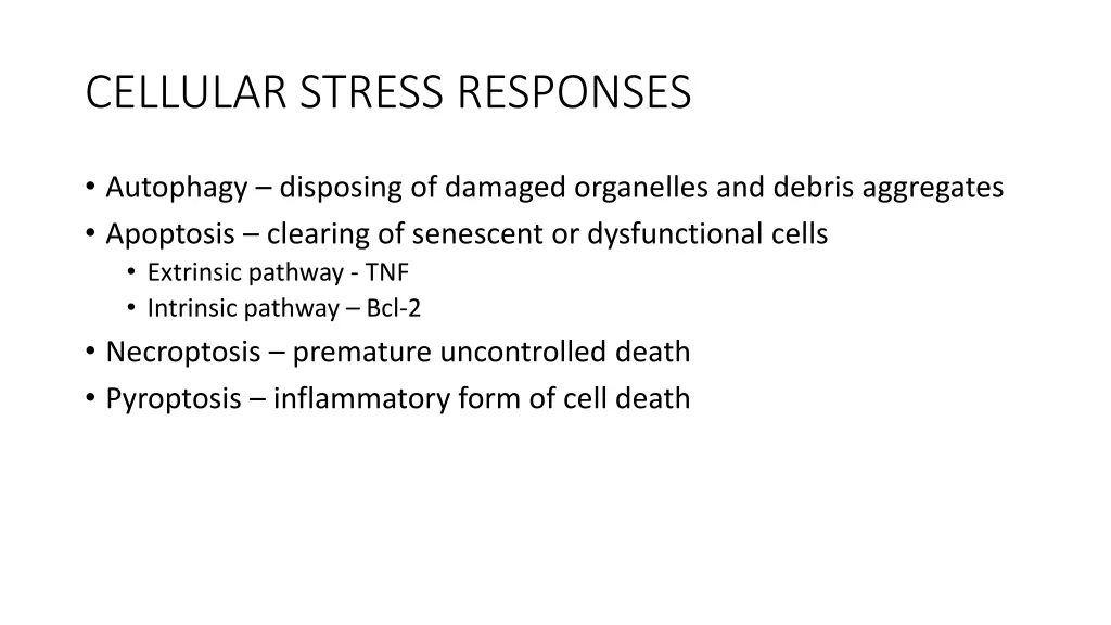 cellular stress responses