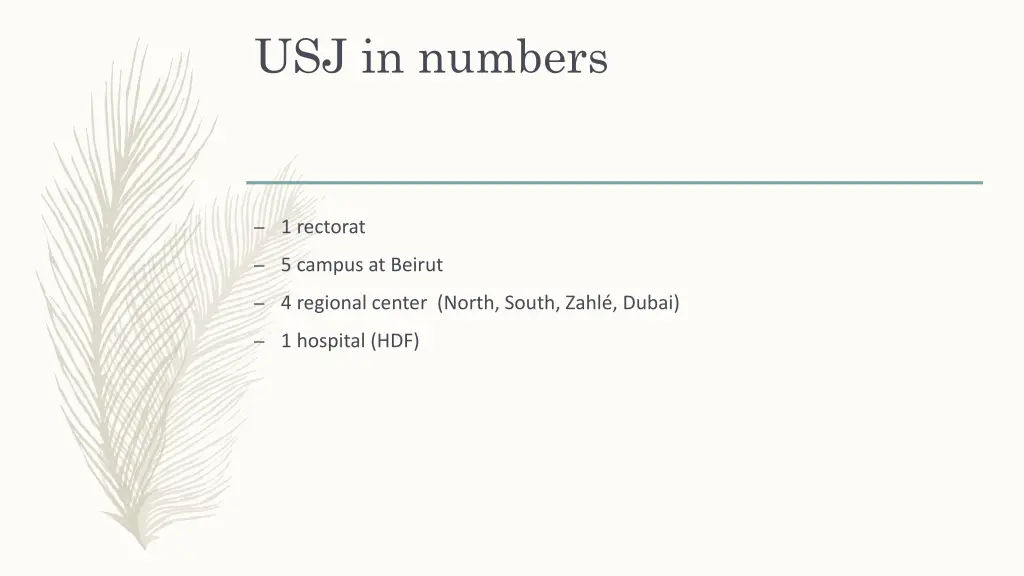 usj in numbers