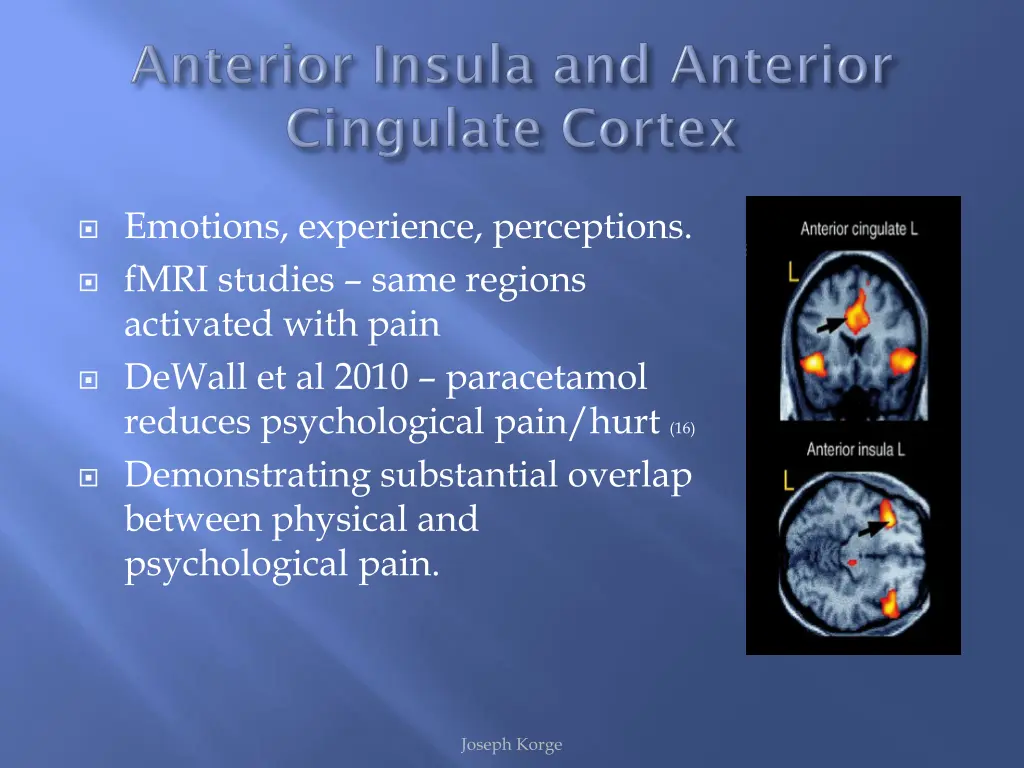 emotions experience perceptions fmri studies same